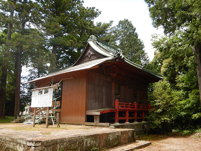 �v�����_�Дq�a�Č�����