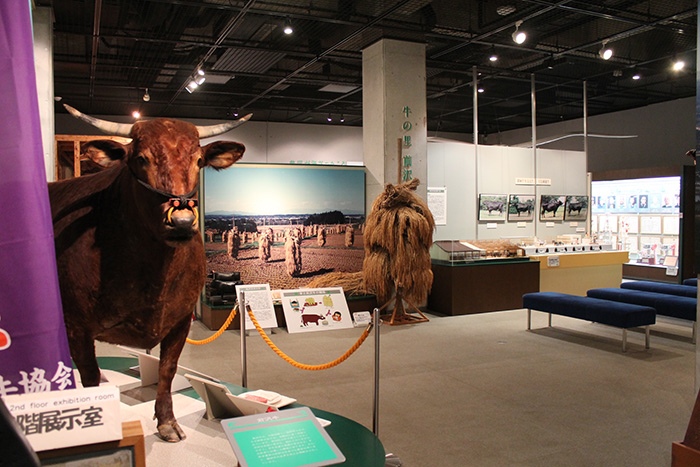 ���{�Z�p�픍���W���ɂ��a���������M����