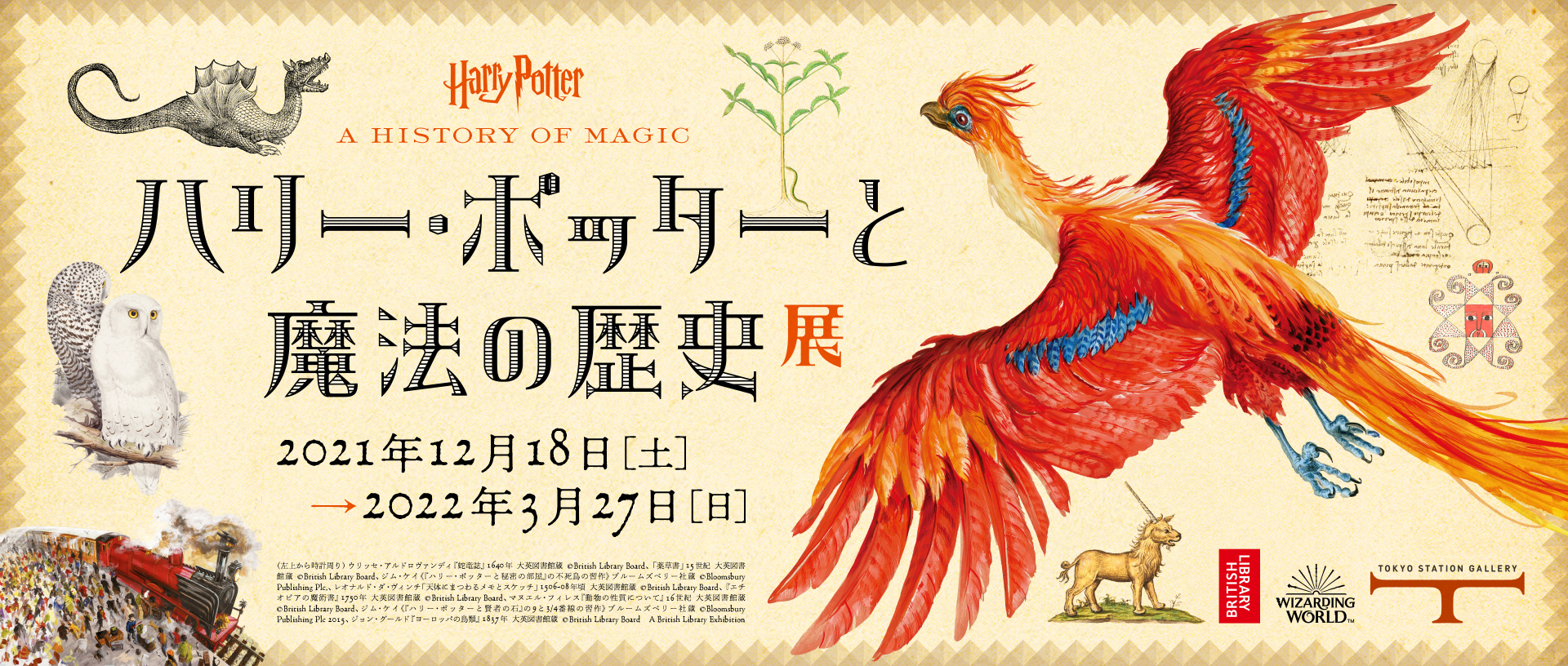 ハリー・ポッターと魔法の歴史 イメージ