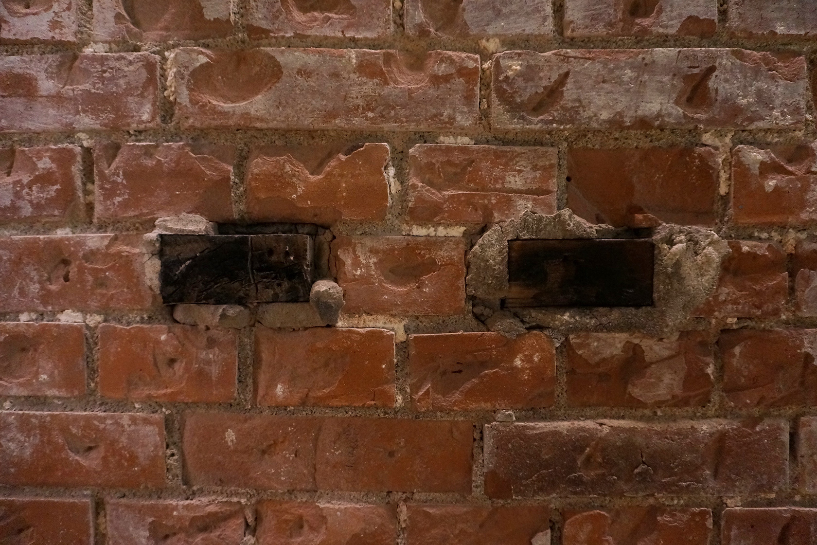 Carbonized wooden bricks