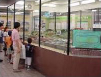 Museum Image